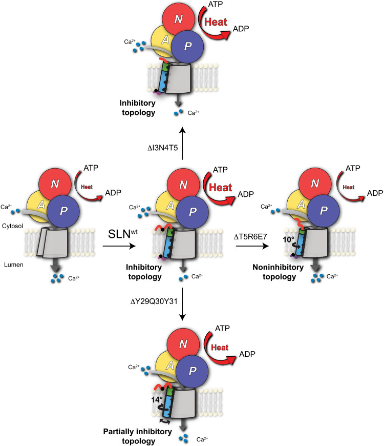 Fig. 6.