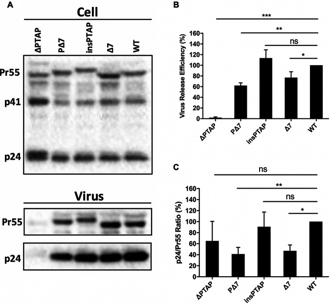 FIG 3