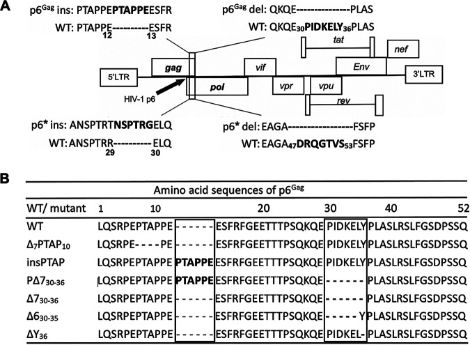 FIG 2