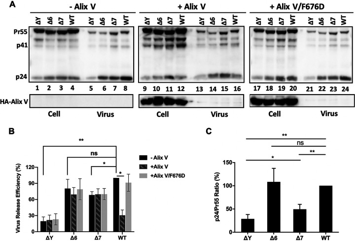 FIG 6