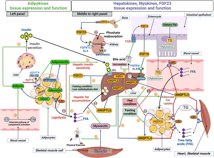 Figure 1