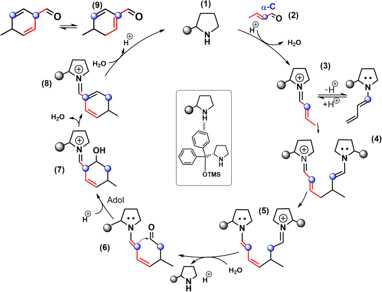 Scheme 3