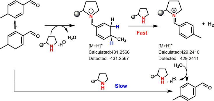 Scheme 4