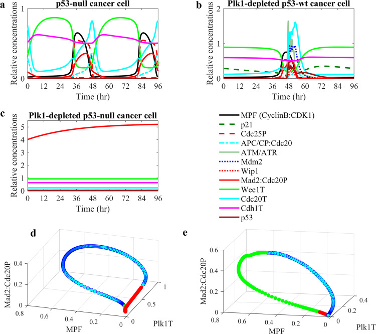 Crosstalk between Plk1, p53, cell cycle, and G2/M DNA damage checkpoint ...