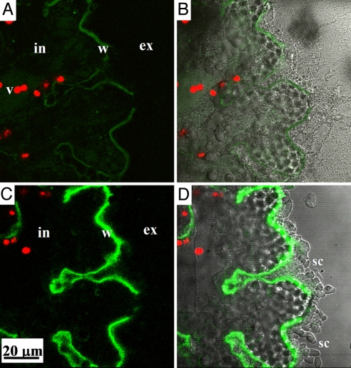 Fig. 4.