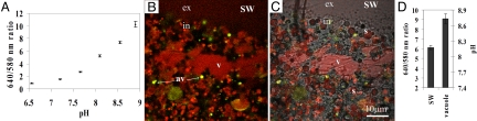 Fig. 6.