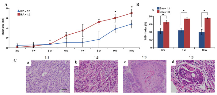 Figure 5.