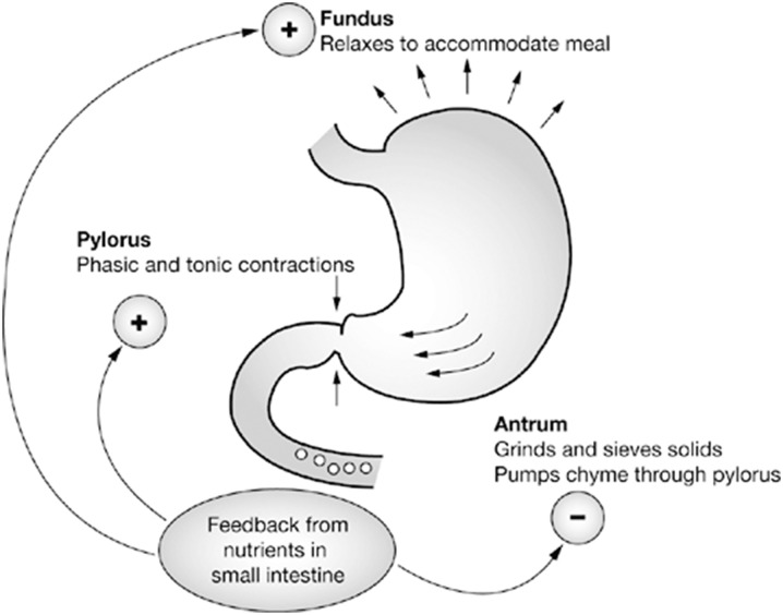 Fig. 4