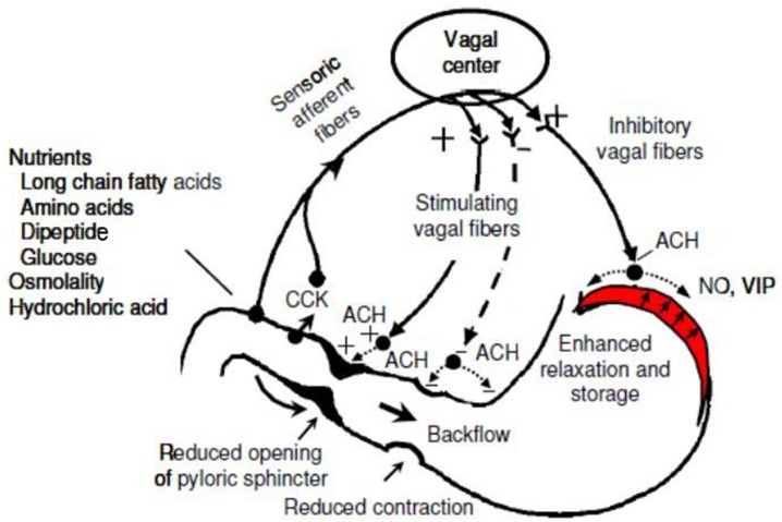 Fig. 8