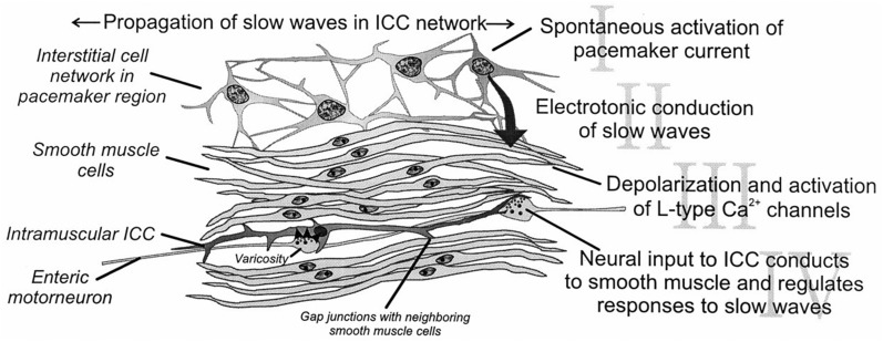 Fig. 10