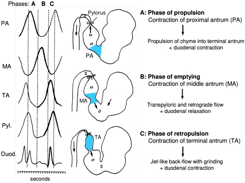 Fig. 5