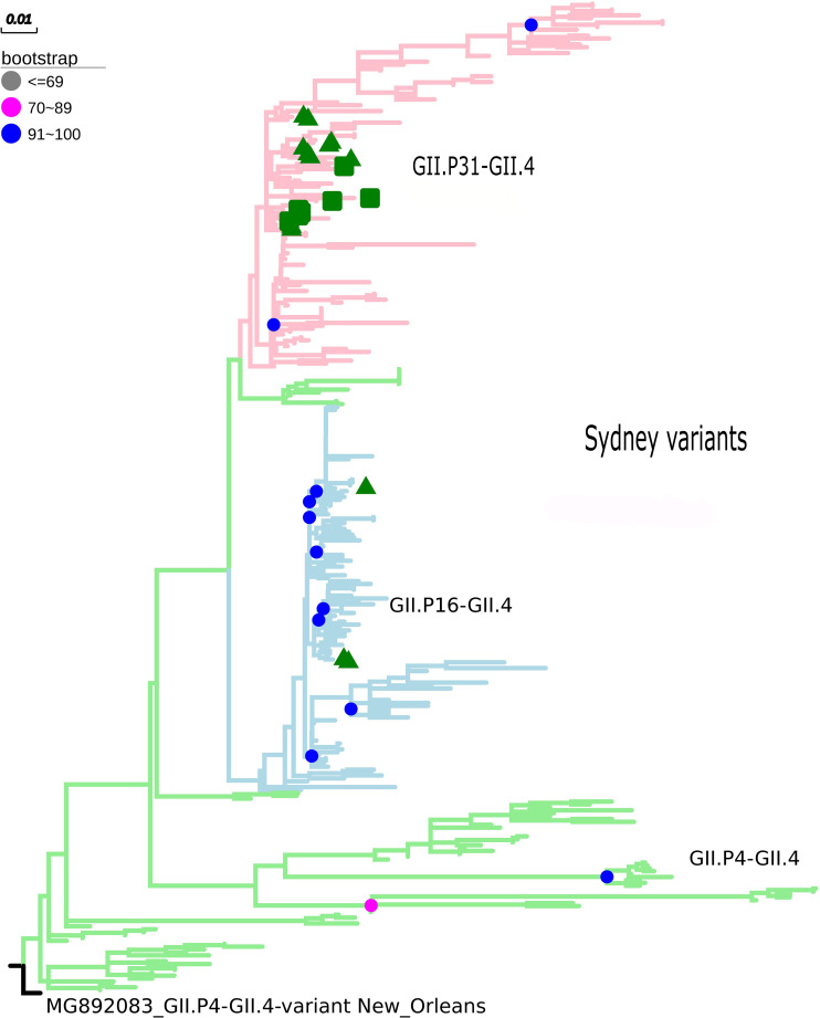 FIGURE 2