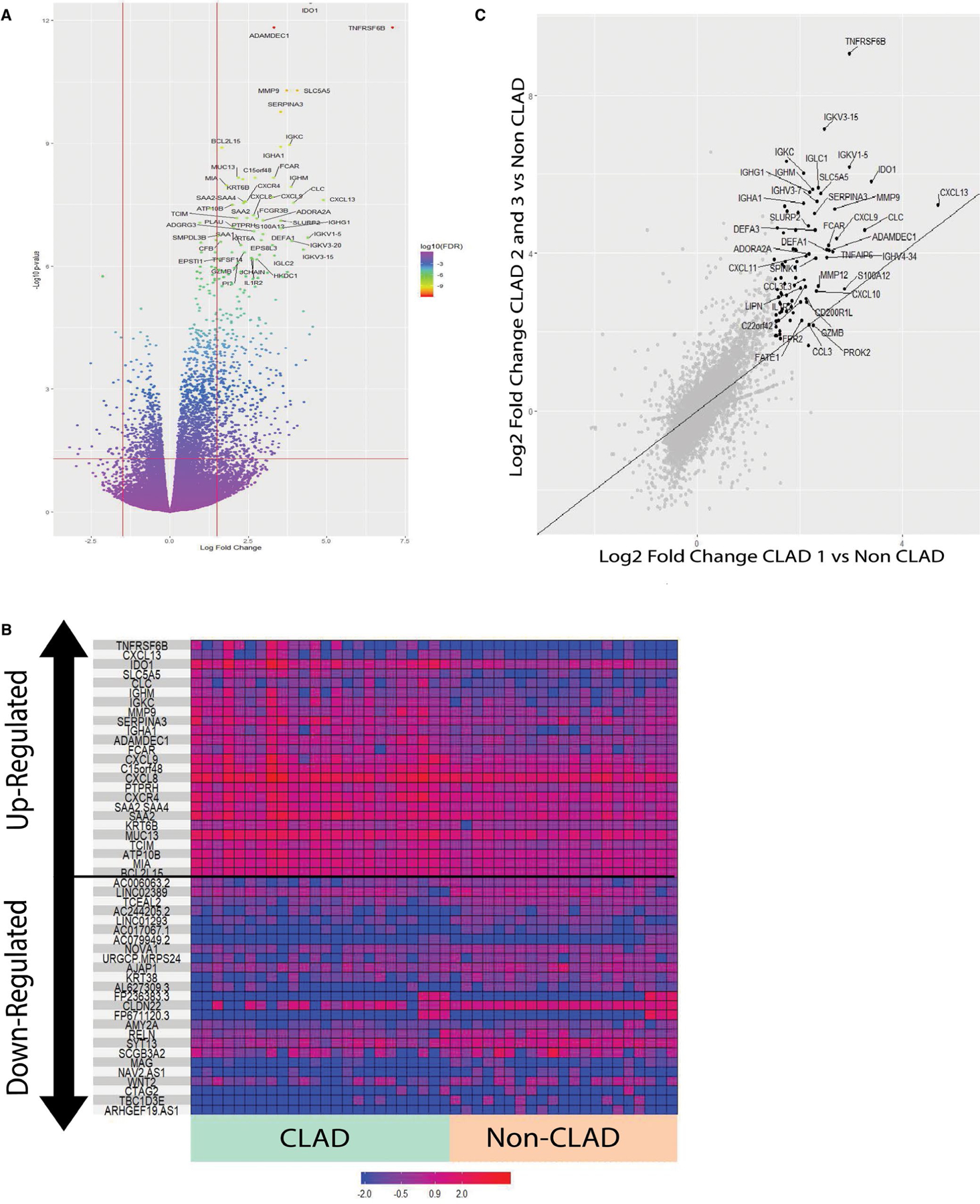 FIGURE 2