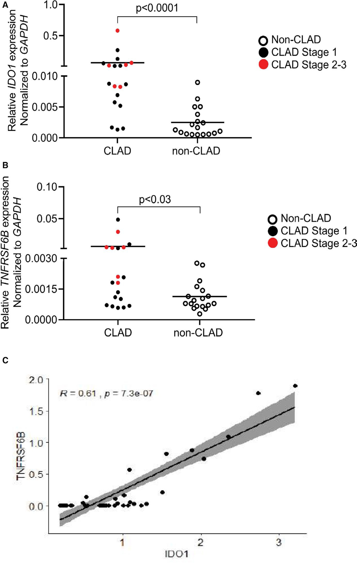 FIGURE 3