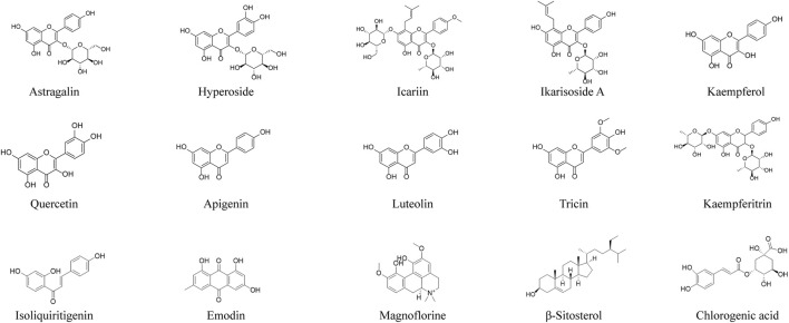 FIGURE 3