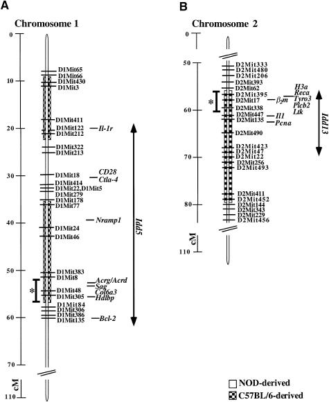 Figure  5 