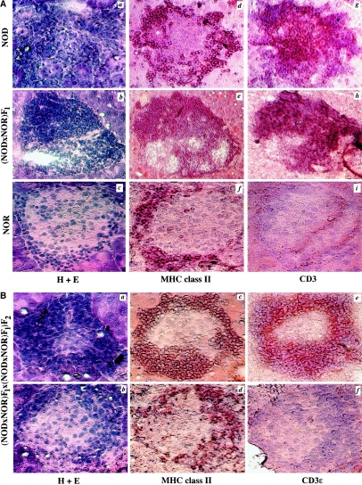 Figure  1 