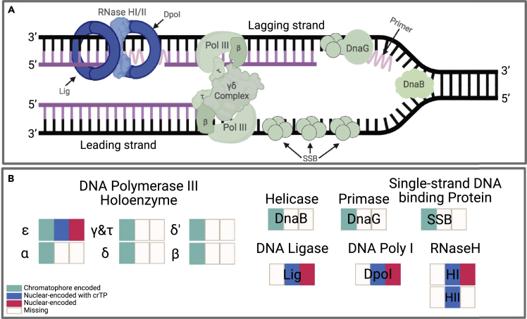 Figure 3