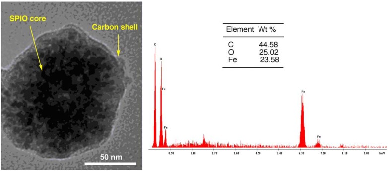 Fig. (10)