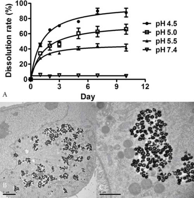 Fig. (6)