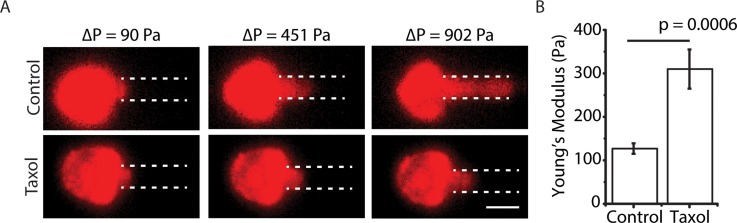 FIG. 5.