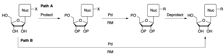 Scheme 1