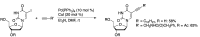 Scheme 17
