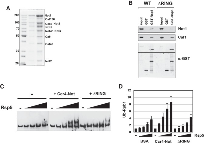 Figure 6.