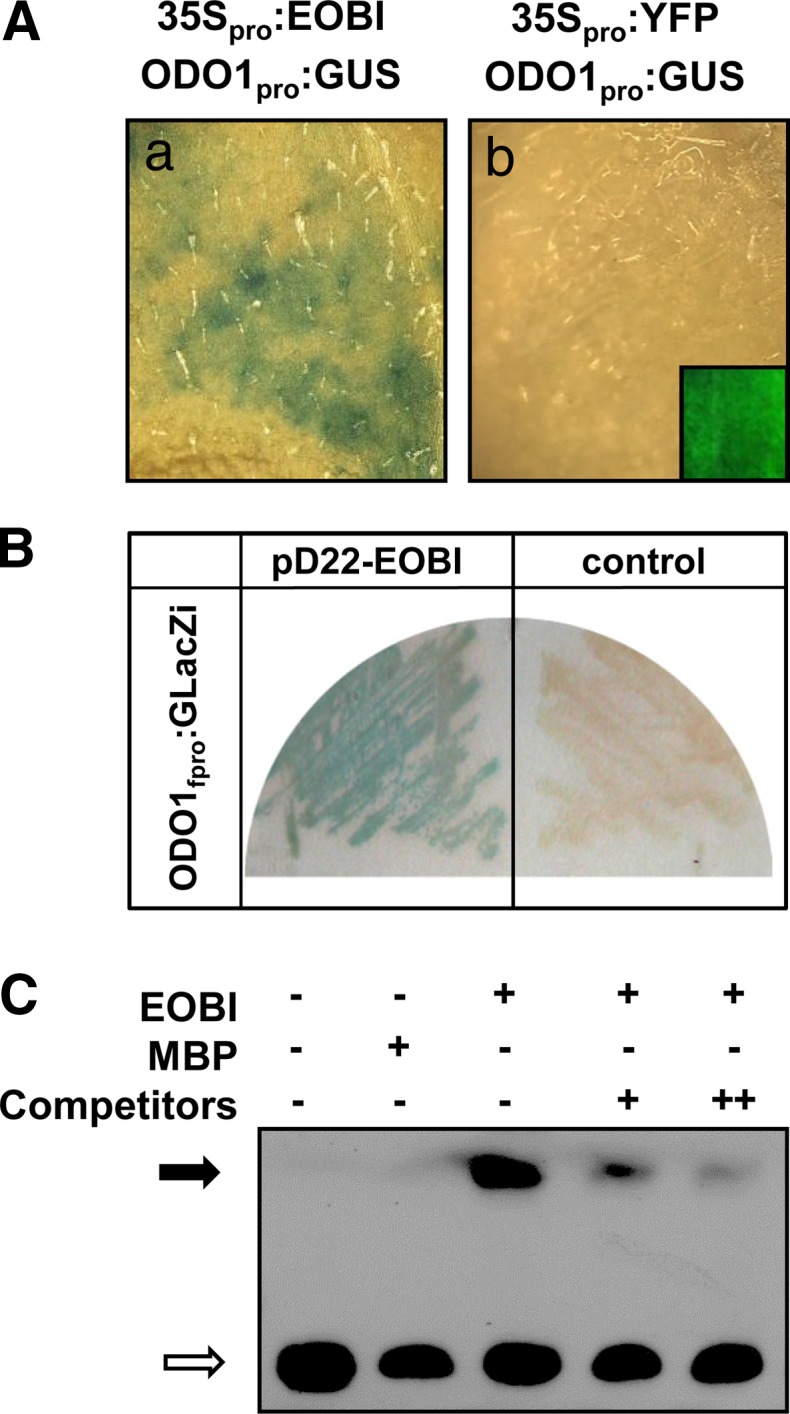 Figure 10.