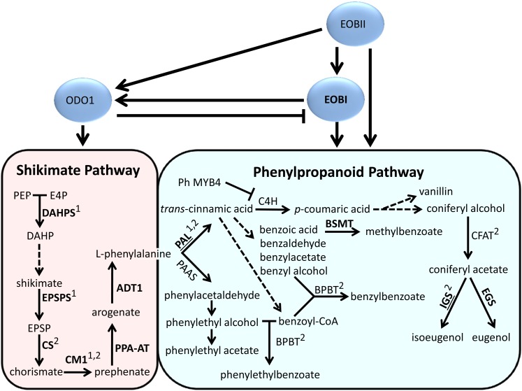 Figure 11.