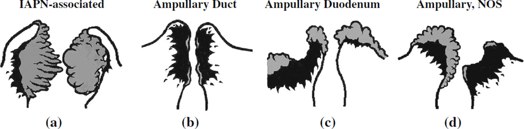 FIG. 1