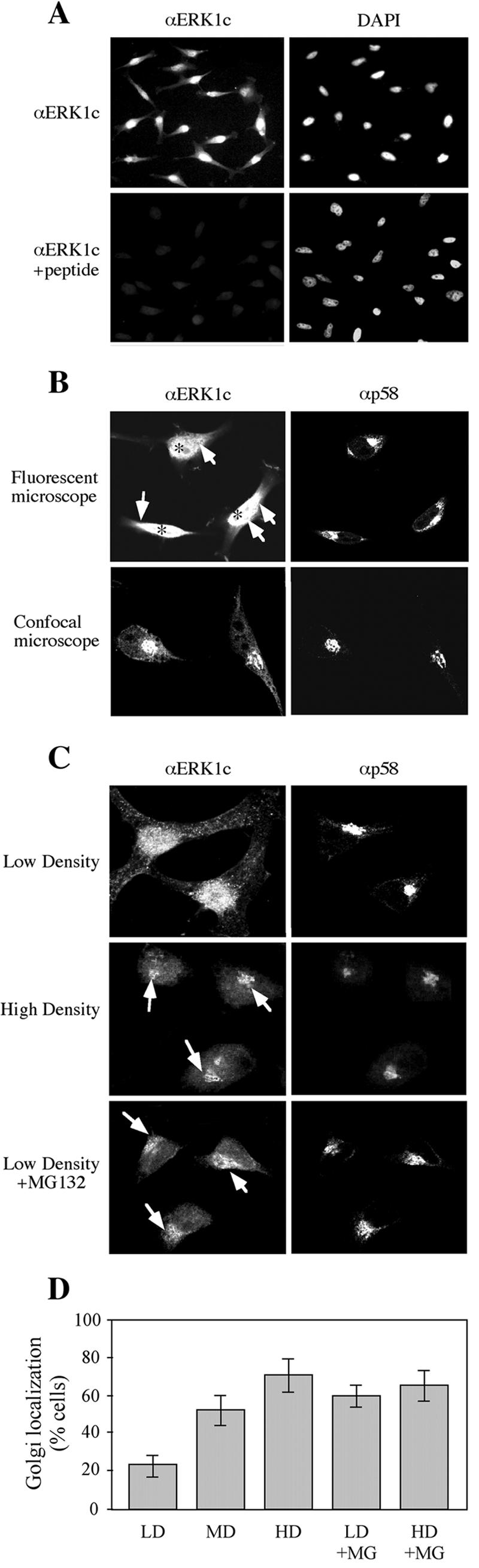 FIG.8.