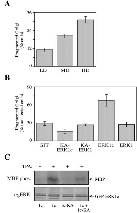 FIG. 10.