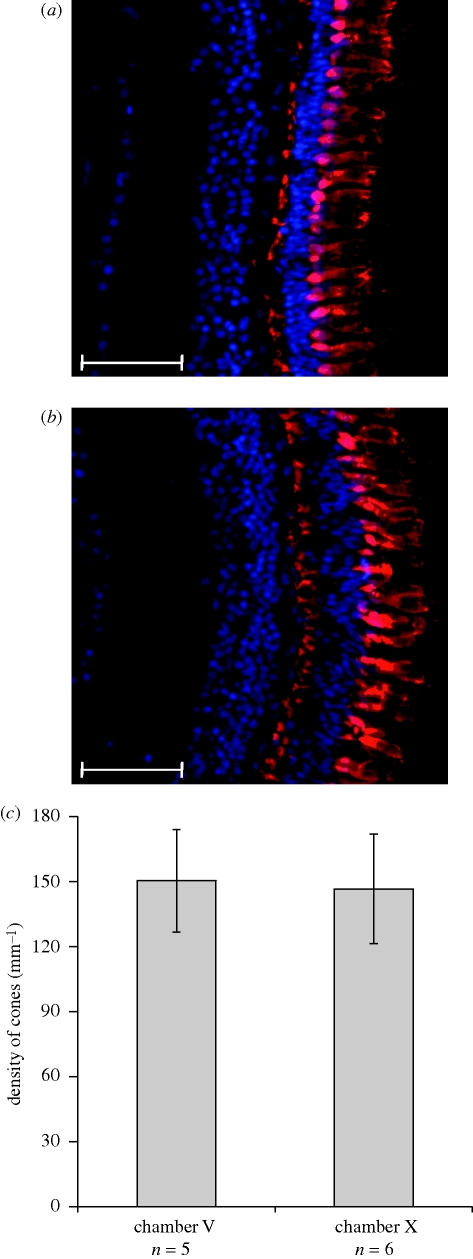 Figure 2.