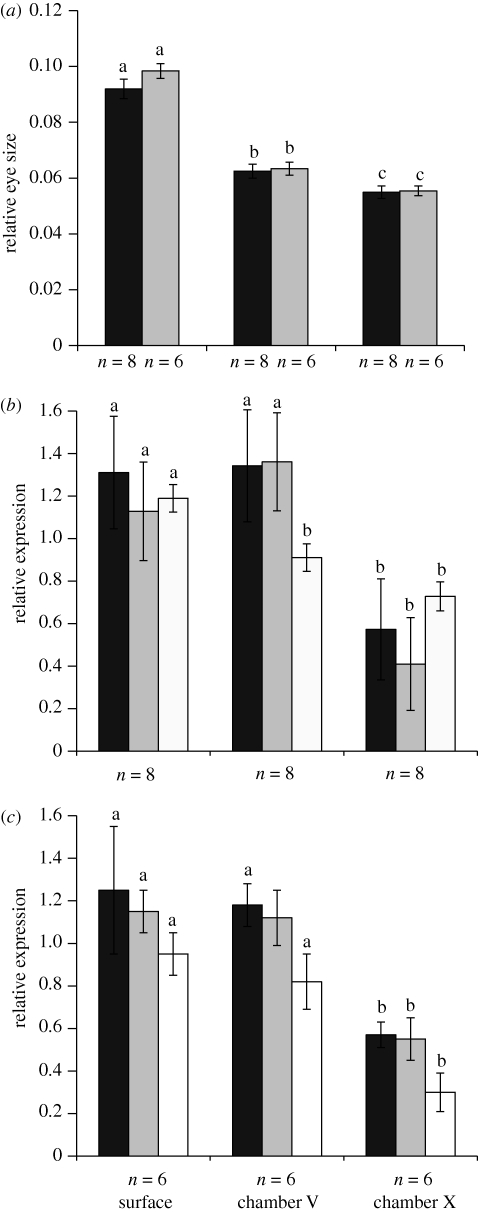 Figure 1.