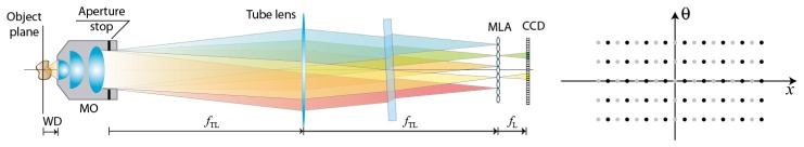 Fig. 5