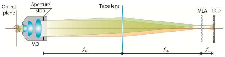 Fig. 2