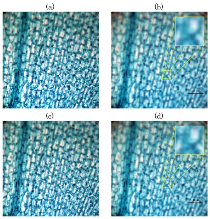 Fig. 9