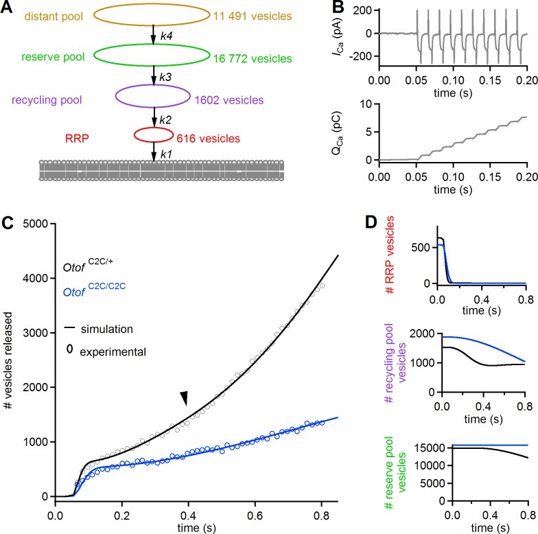 Figure 11.