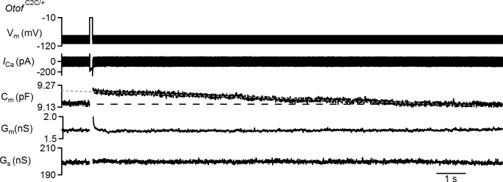 Figure 9—figure supplement 1.