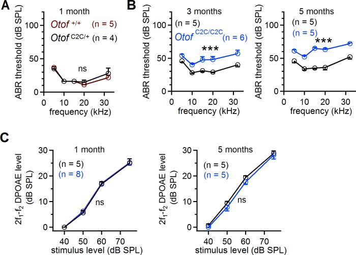 Figure 2—figure supplement 1.