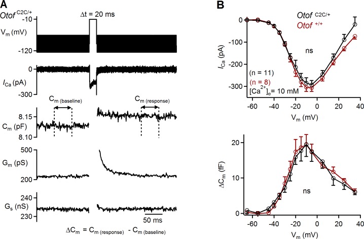 Figure 5—figure supplement 1.