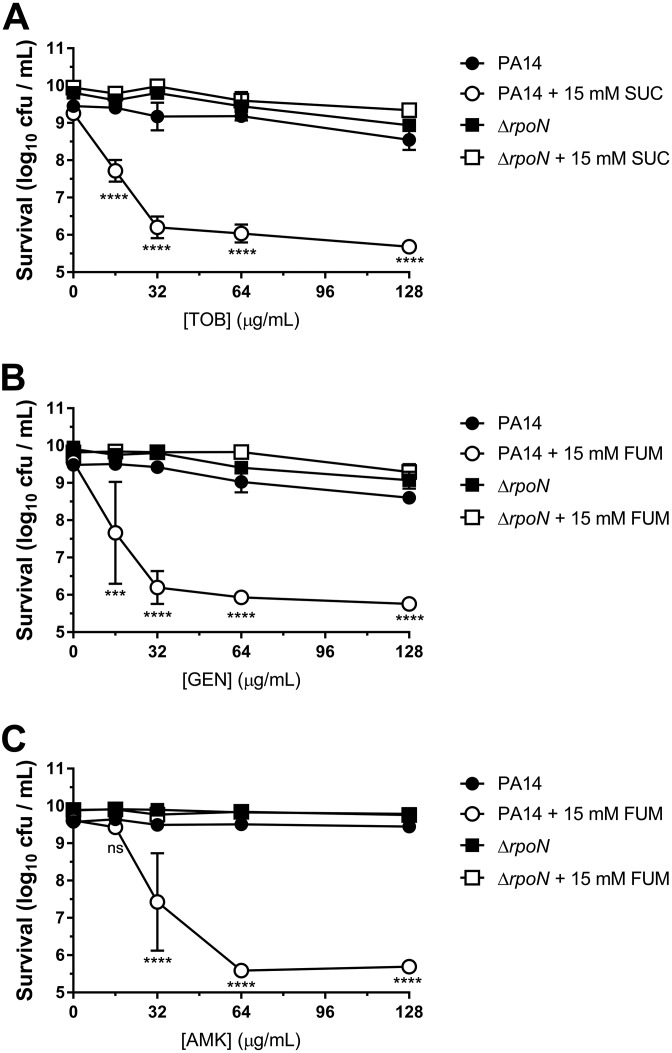 FIG 2