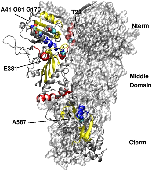 Figure 13