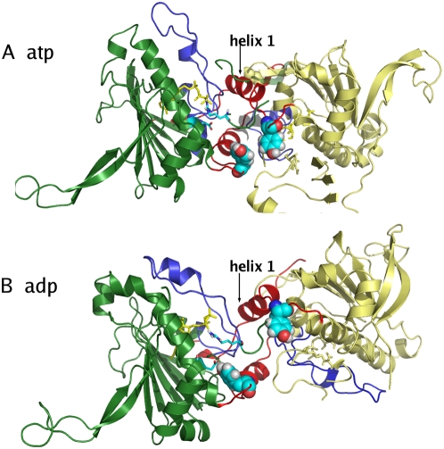 Figure 7