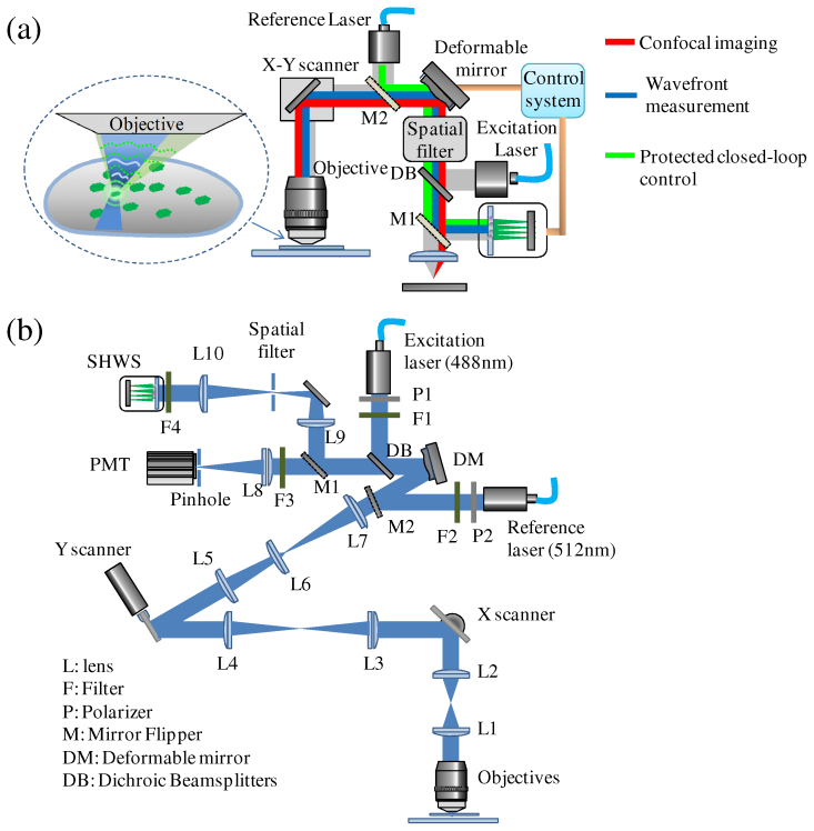 Fig. 1