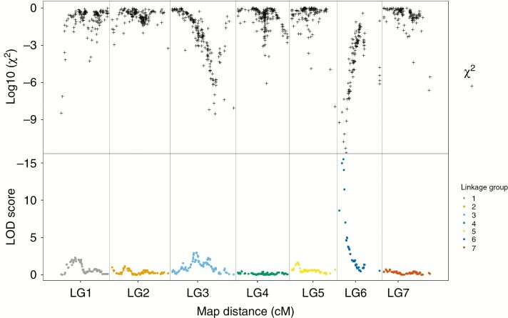 Fig. 3.