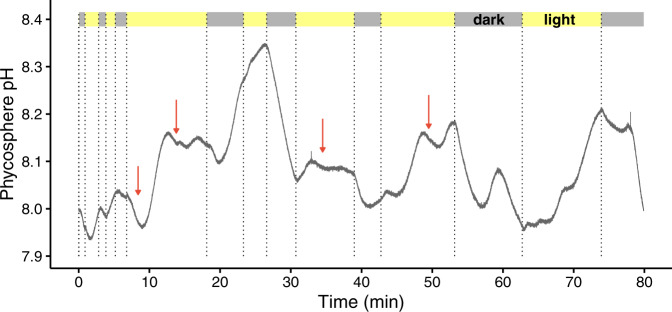 Fig. 3