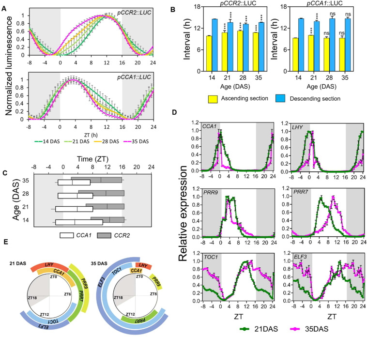 Figure 2