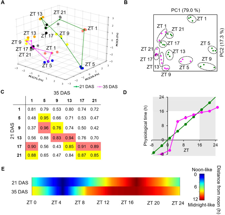 Figure 3